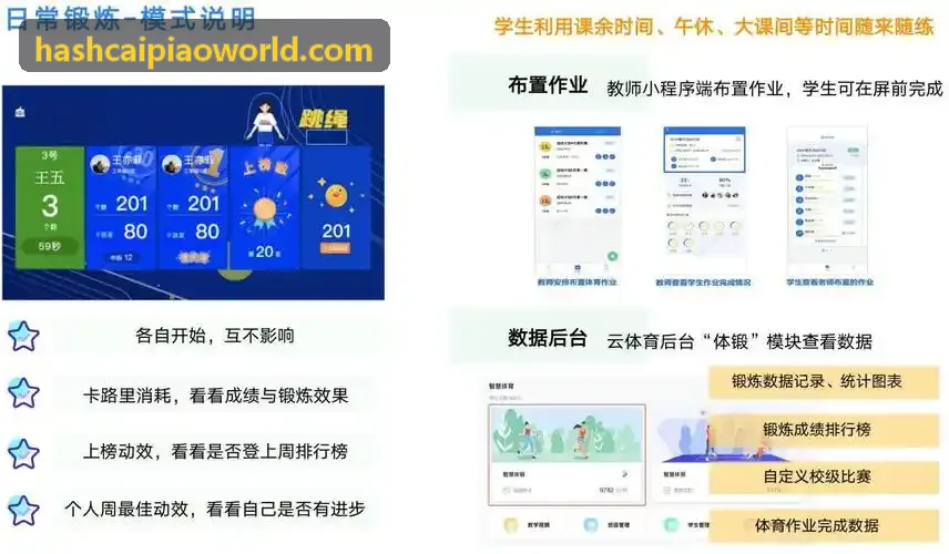 哈希彩票时序验证图谱